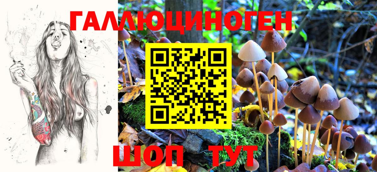 Псилоцибиновые грибы Magic Shrooms  Галлюциногенные грибы GOLDEN TEACHER  Усинск  Вход с VPN 